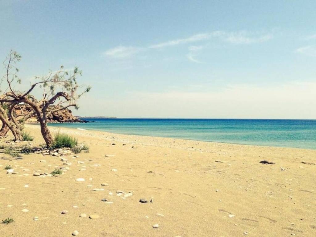 Hotel - Grekodom 63000|976449