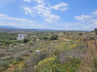 Plot - Grekodom 63007|976553