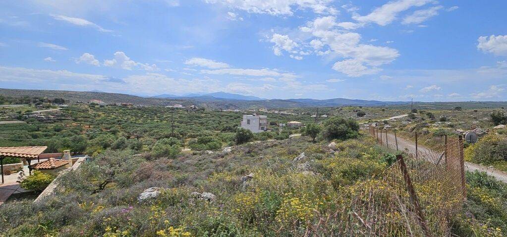 Plot - Grekodom 63007|976554