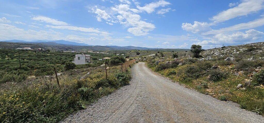 Plot - Grekodom 63007|976556