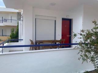 Apartment - Grekodom 63049|978195