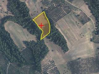 Plot - Grekodom 63076|978738