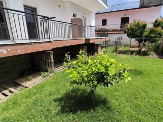 Detached - Grekodom 63115|979558