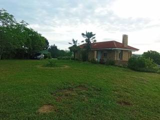 Detached - Grekodom 63109|979445