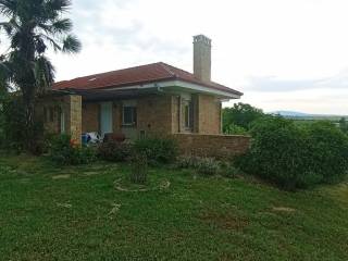 Detached - Grekodom 63109|979447