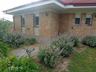 Detached - Grekodom 63109|979441