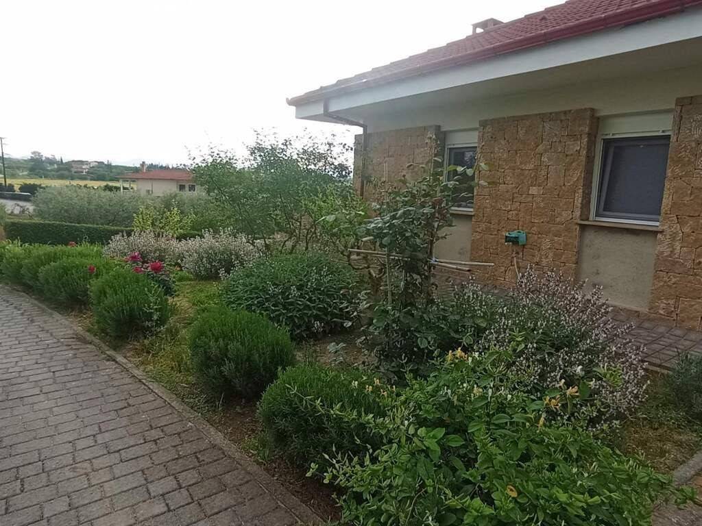 Detached - Grekodom 63109|979439