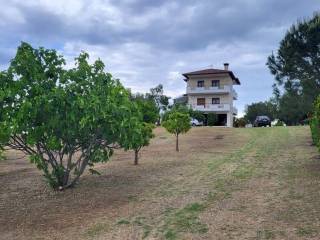 Detached - Grekodom 63126|980336