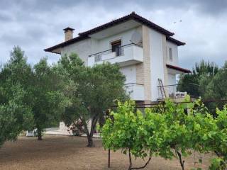 Detached - Grekodom 63126|980338