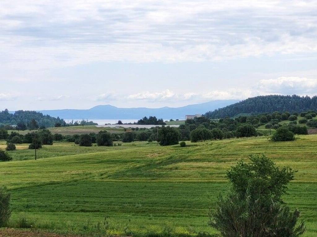 Detached - Grekodom 63126|980339