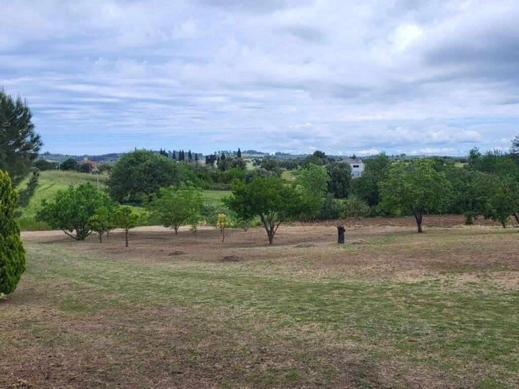 Detached - Grekodom 63126|980333