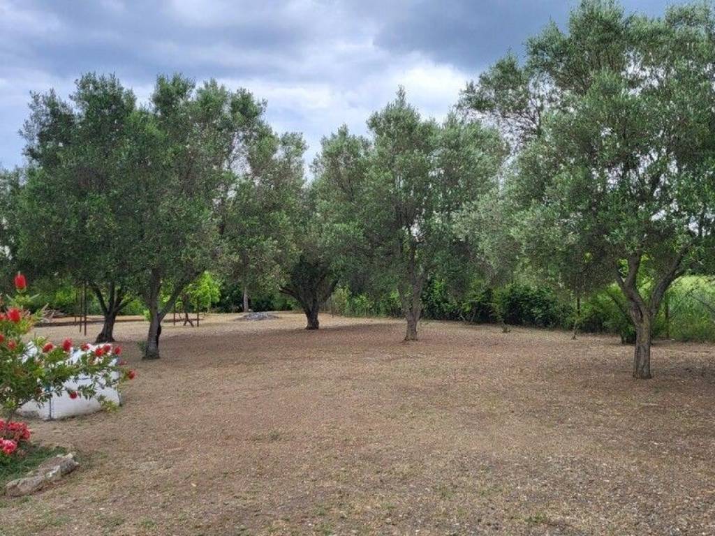 Detached - Grekodom 63126|980335