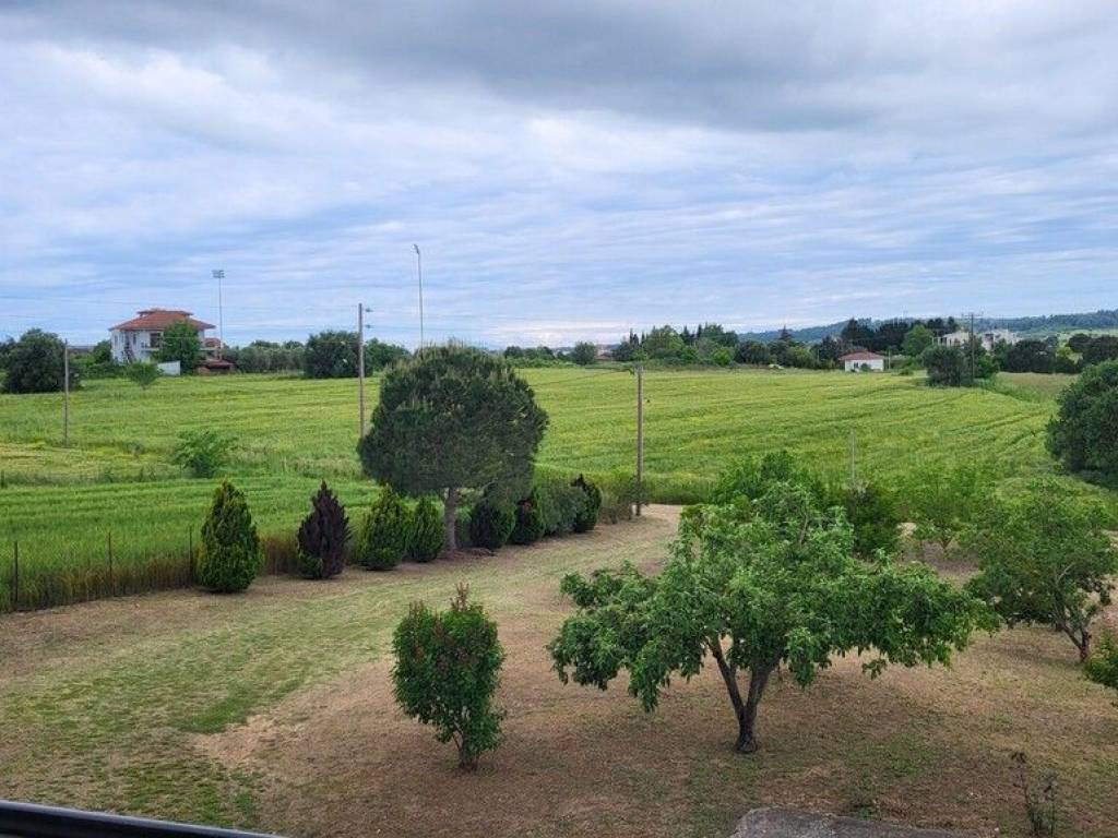 Detached - Grekodom 63126|980341