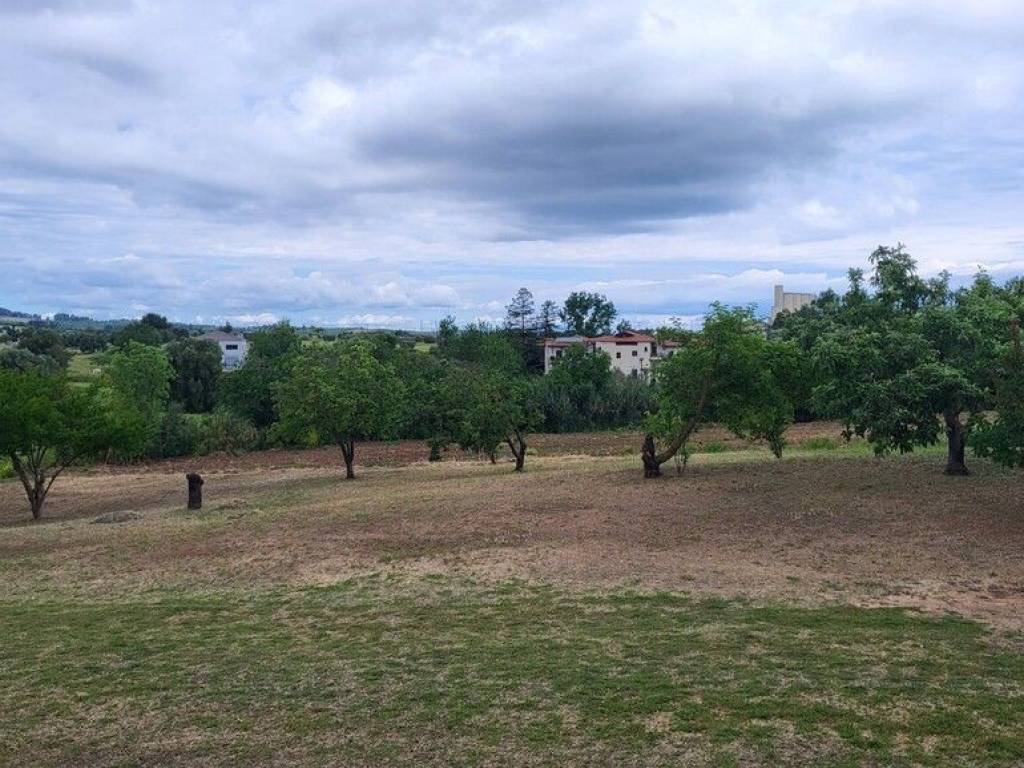 Detached - Grekodom 63126|980334