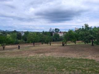 Detached - Grekodom 63126|980334