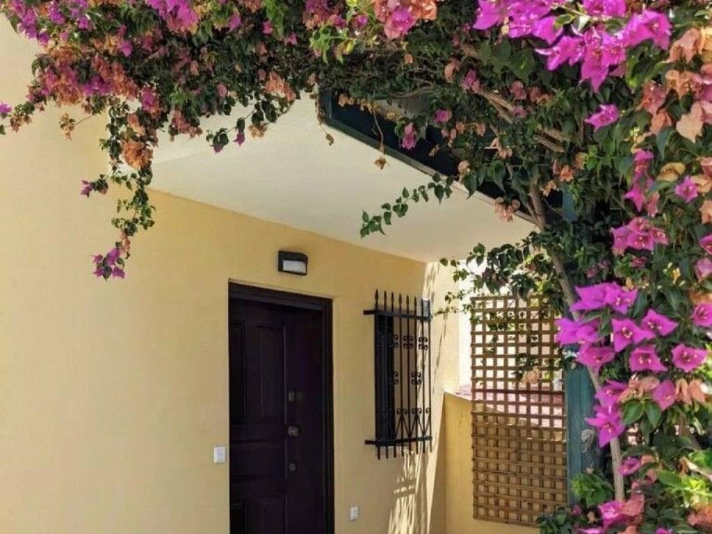 Maisonette - Grekodom 63134|980480