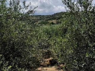 Villa - Grekodom 63137|982976