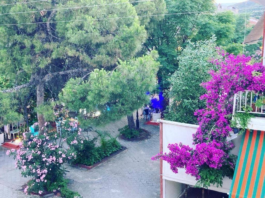 Apartment - Grekodom 63210|983559