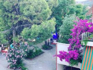 Apartment - Grekodom 63210|983559