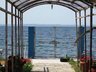 Detached - Grekodom 62238|952240