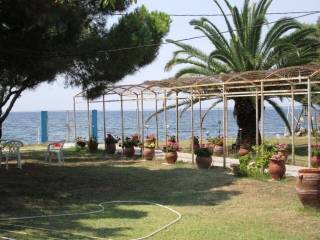 Detached - Grekodom 62238|952235