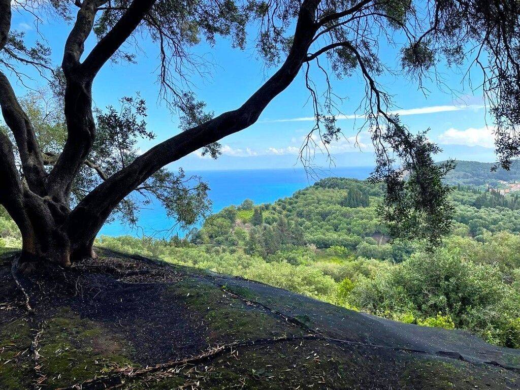 Plot - Grekodom 63230|983789