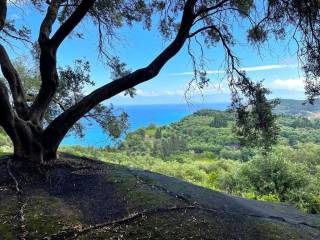 Plot - Grekodom 63230|983789