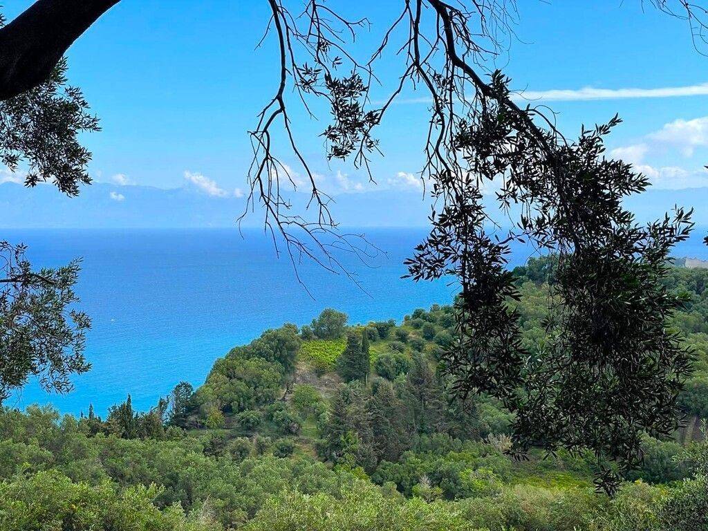 Plot - Grekodom 63230|983790