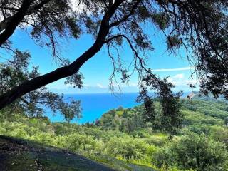 Plot - Grekodom 63230|983791