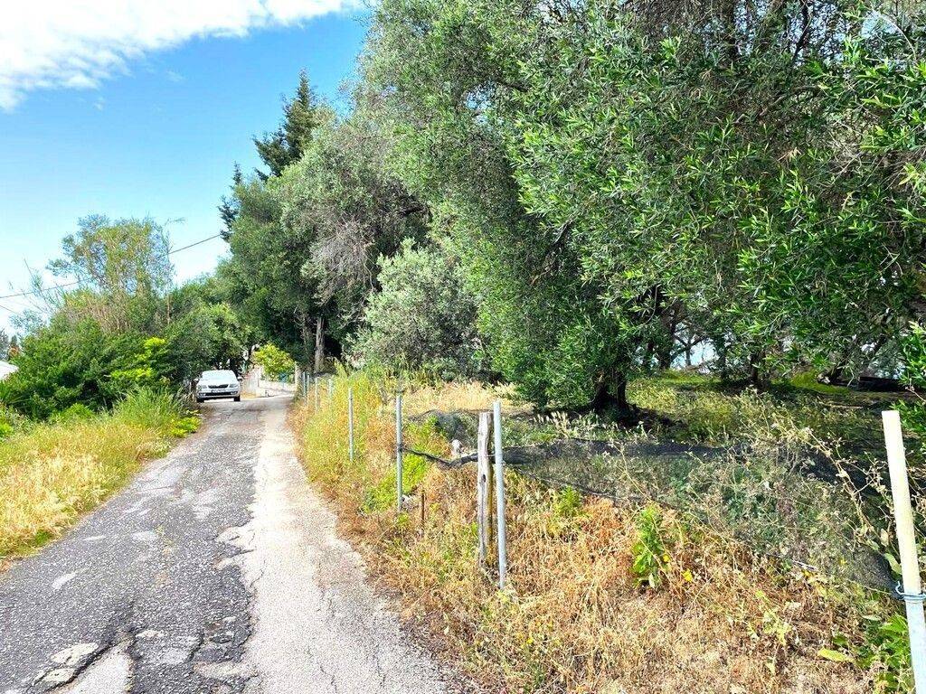 Plot - Grekodom 63230|983794