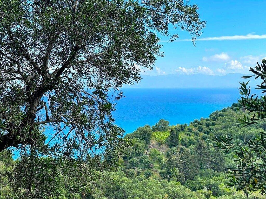 Plot - Grekodom 63230|983800