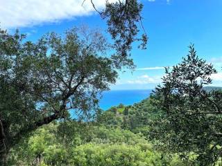 Plot - Grekodom 63230|983801