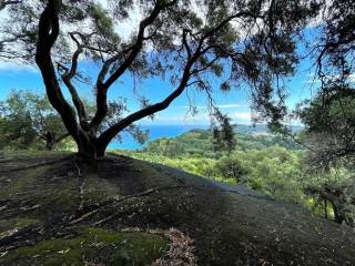 Plot - Grekodom 63230|983802