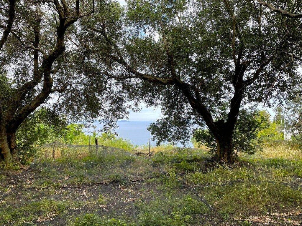 Plot - Grekodom 63230|983806