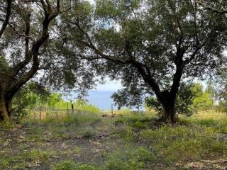 Plot - Grekodom 63230|983806