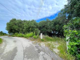 Plot - Grekodom 63229|983815