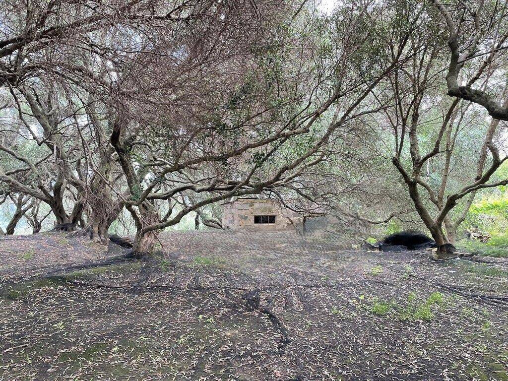 Plot - Grekodom 63229|983809