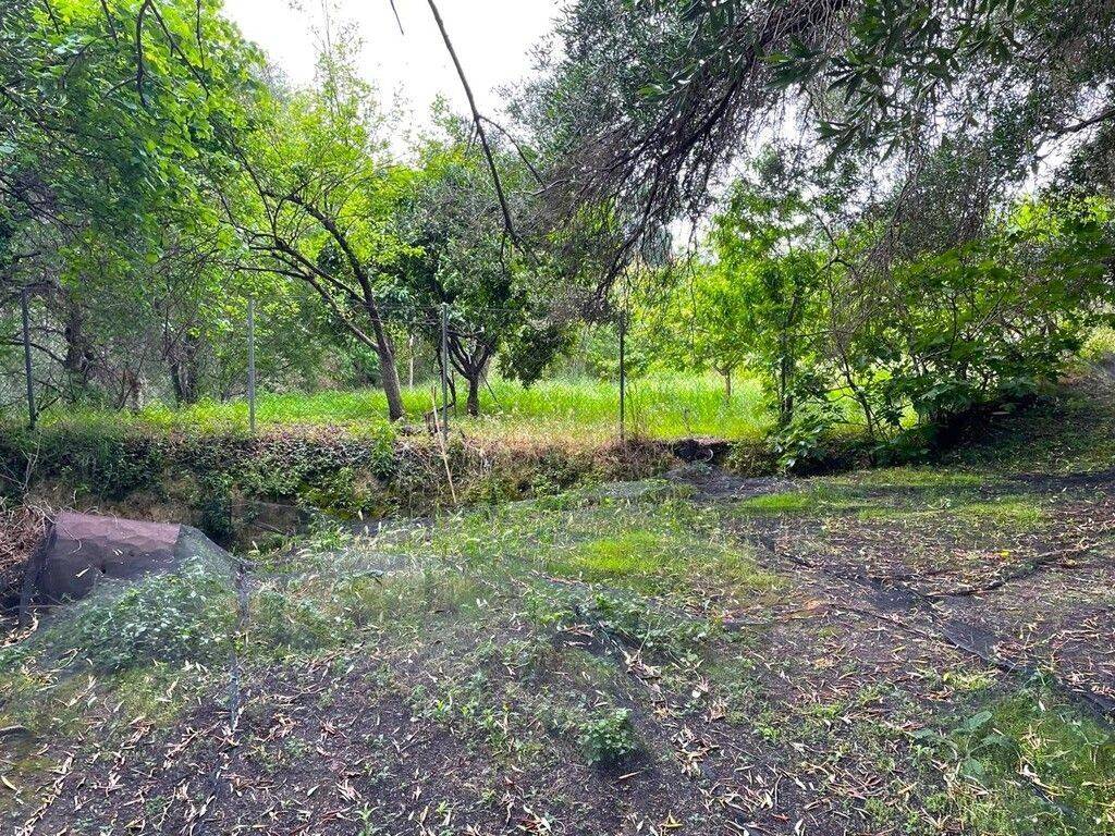 Plot - Grekodom 63229|983818