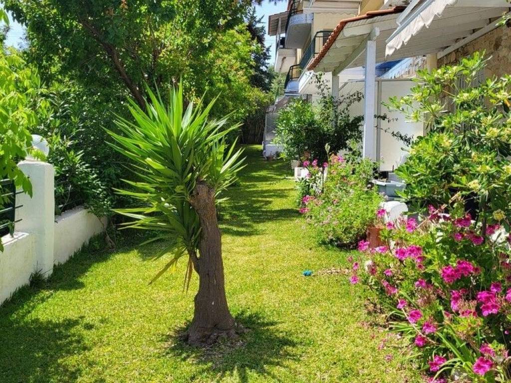 Apartment - Grekodom 63170|983270