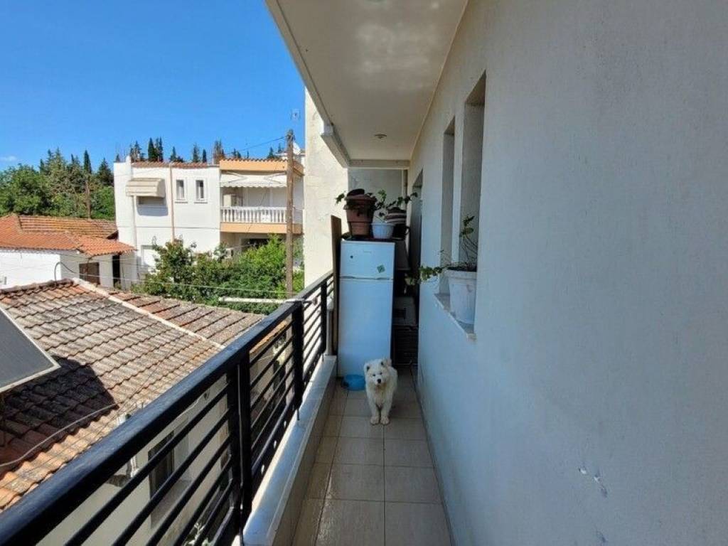 Apartment - Grekodom 63215|983630