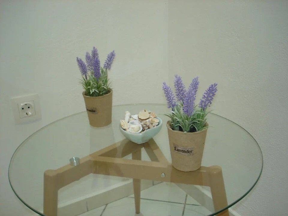 Apartment - Grekodom 60422|893735