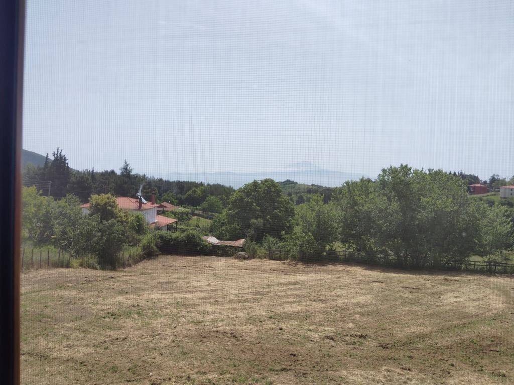 Detached - Grekodom 63282|984910