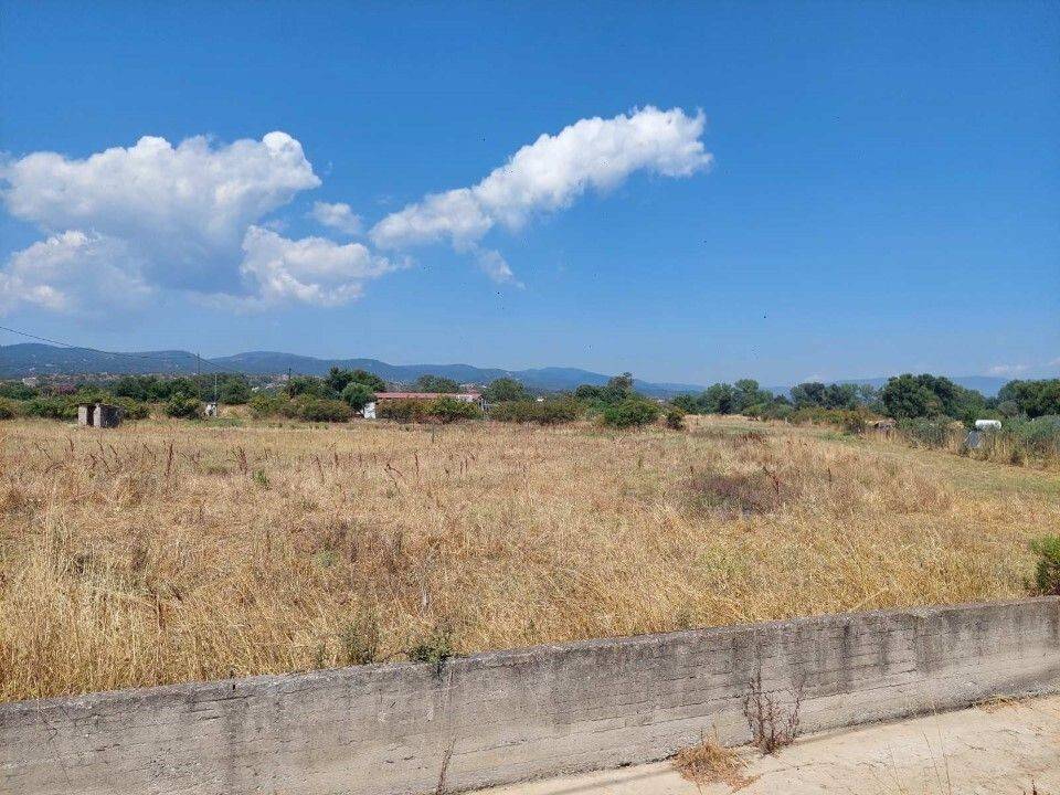 Plot - Grekodom 63289|1002691