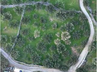 Plot - Grekodom 63359|986403