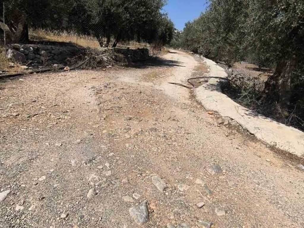 Plot - Grekodom 63359|987069