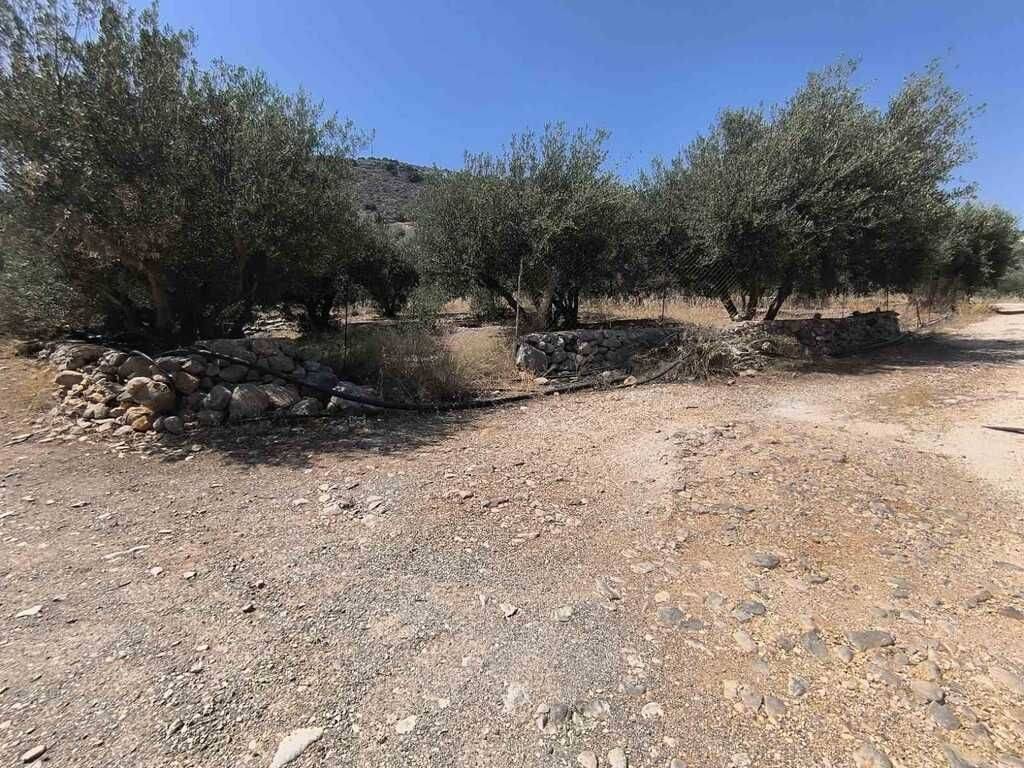 Plot - Grekodom 63359|987070