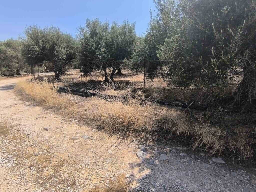 Plot - Grekodom 63359|987071