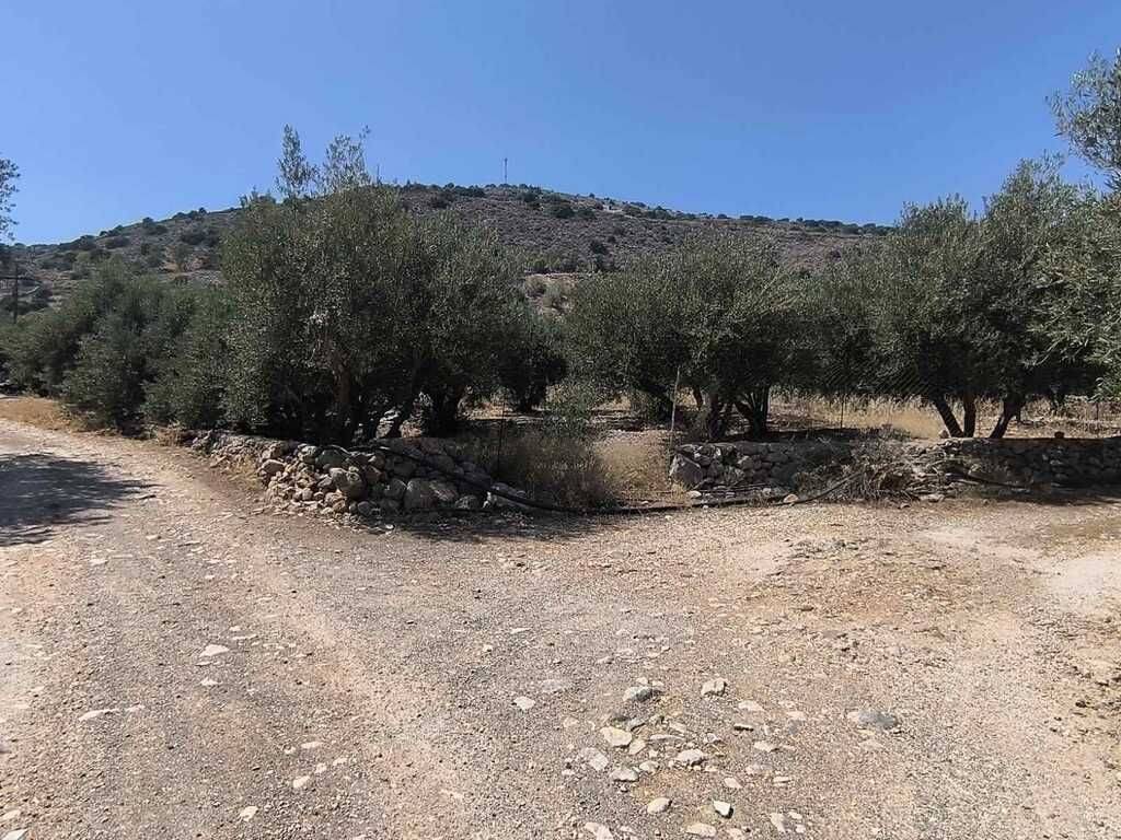 Plot - Grekodom 63359|987073