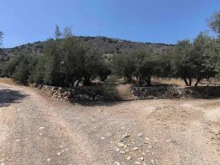 Plot - Grekodom 63359|987073