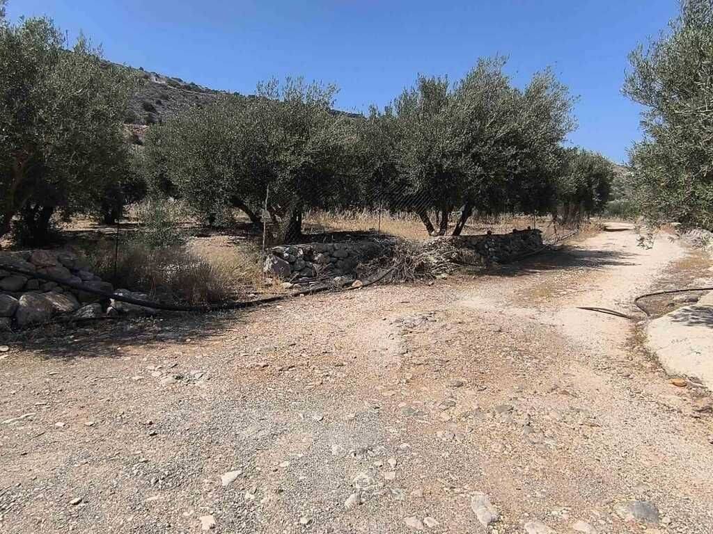 Plot - Grekodom 63359|987075